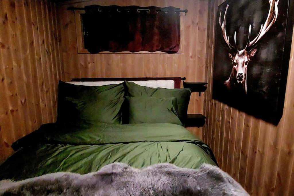 Cabin Aurora Borealis Sommaroy Exterior photo